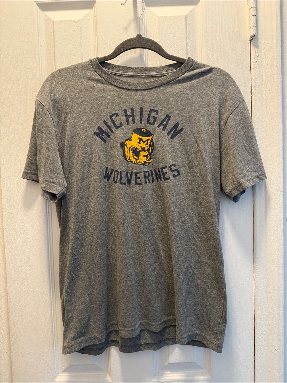 Michigan Wolverines Gray Graphic Tee